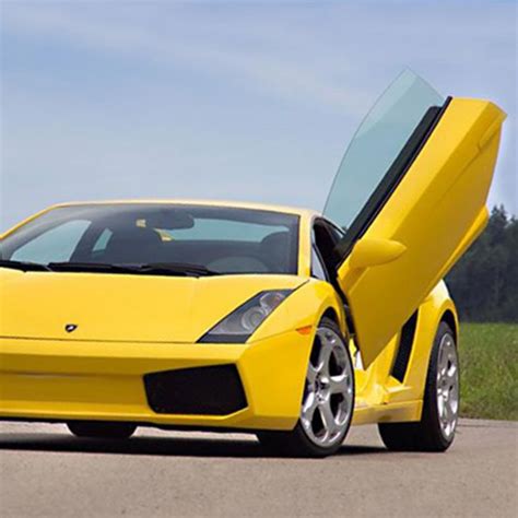 LSD Doors® 50011001 - Lambo Vertical Doors Kit