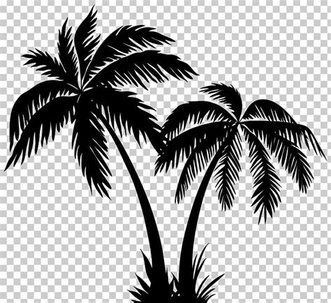 Silhouette Arecaceae PNG - arecaceae, arecales, black and white, borassus flabellifer, clip art ...