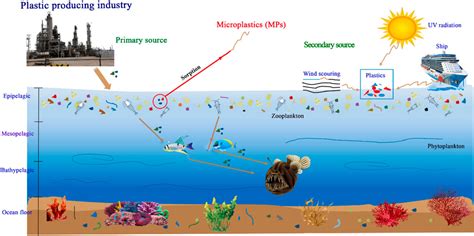 Frontiers | Effects of Microplastics on Fish and in Human Health