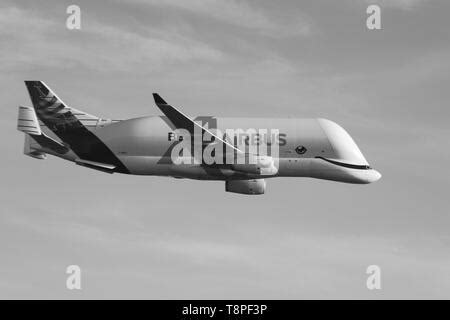 Airbus new Beluga XL landing for the first time at Hawarden airport Stock Photo - Alamy