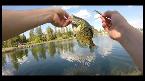 Washington FIshing Medical Lake Wa Crappie - YouTube