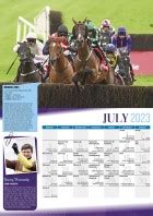 Irish Racing Calendar