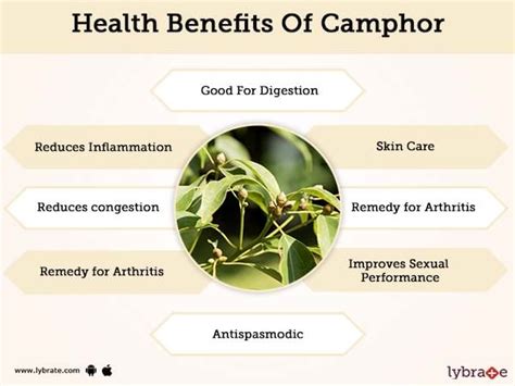 Benefits of Camphor And Its Side Effects | Lybrate