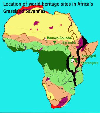 Savanna Biome World Map – Interactive Map