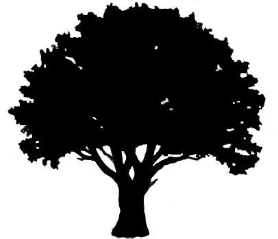 Tree outline clipart 20 free Cliparts | Download images on Clipground 2024