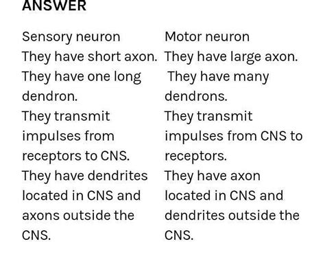 What is the difference between sensory neuron and motor neuron (5 ...