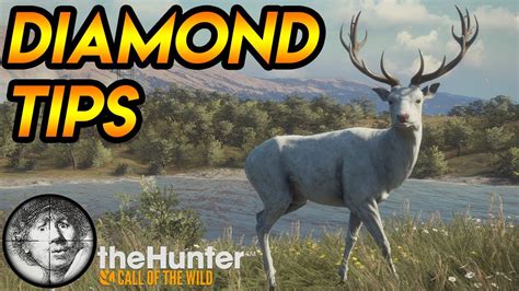 Two tips to get more diamonds on singleplayer! [theHunter: Call of the Wild 2020] - YouTube