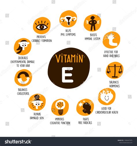 Vitamin E Health Benefits Icons Set Stock Vector (Royalty Free) 1396447475 | Shutterstock