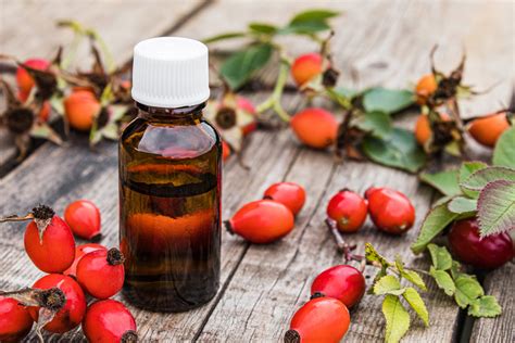 4 Benefits of Rosehip Seed Oil | How to Use Rosehip Oil for Face, Hair ...