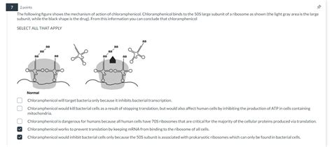 Solved The following figure shows the mechanism of action of | Chegg.com