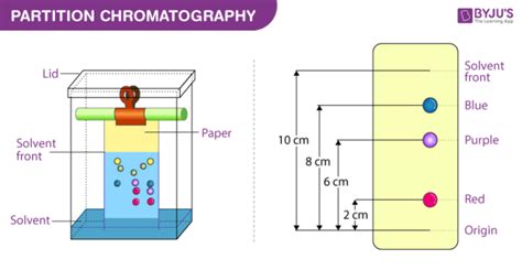 Paper Chromatography Rf