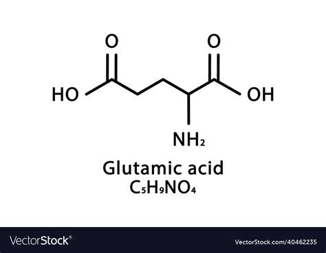 Glutamate Structure