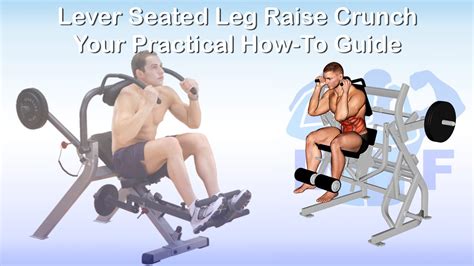 Lever Seated Leg Raise Crunch "Machine": Your Practical How-To Guide