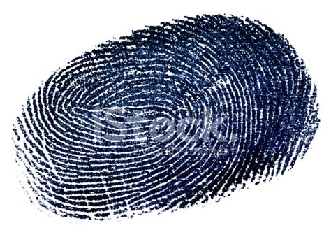 Blue Fingerprint Stock Photo | Royalty-Free | FreeImages