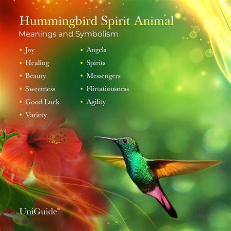 Hummingbird Symbolism, Meanings & The Hummingbird Spirit Animal in 2021 | Spirit animal totem ...