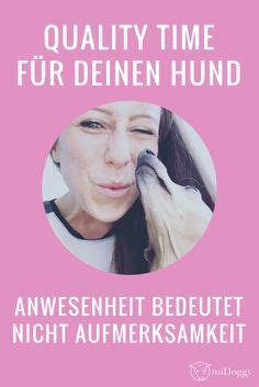 Quality time | Hunde | Aufmerksamkeit Quality Time, Hand Signals, Dog Obedience, Dog Houses, Diy ...