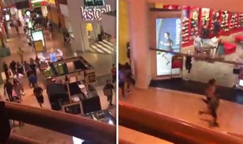 Miami Dolphin Mall evacuated after gunshots heard | World | News ...