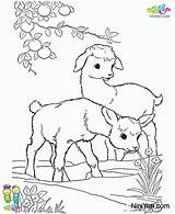 دانلود برگه رنگ آمیزی حیوانات برای کودکان  نی یاری sketch template
