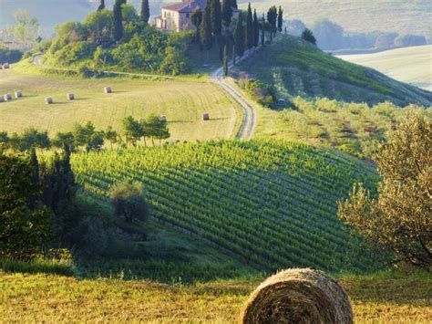 Small in a Enogastronomic Tour across Tuscany, departing from Florence