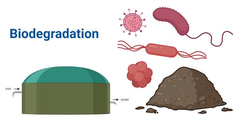 Biodegradation- Definition, Microbes, Factors, Steps