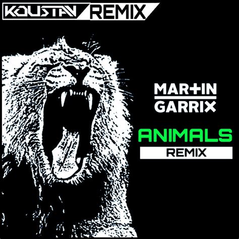 Martin Garrix - Animals (DJ Koustav REMIX)