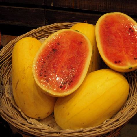 Watermelon Seeds, Yellow Skin, Red Inside, Vegetable Seeds#051 – Rooted Retreat