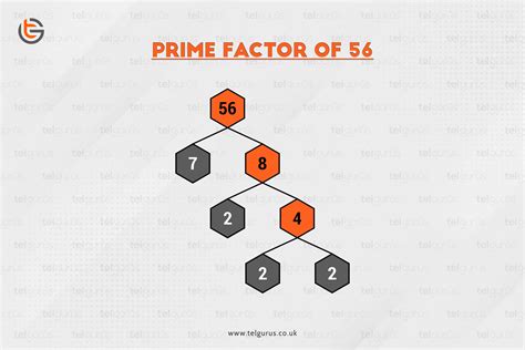 Express 56 as the product of its prime factors? | TEL Gurus