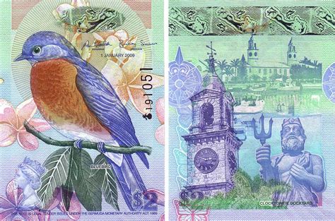 Creature currency: Nature’s most beloved beasts, as illustrated on the ...