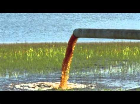 Agricultural Runoff Effects on Marine Life - YouTube