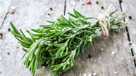 How To Store Fresh Rosemary So It's Easier To Separate