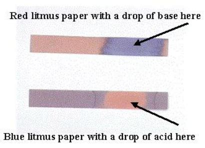 Litmus Paper