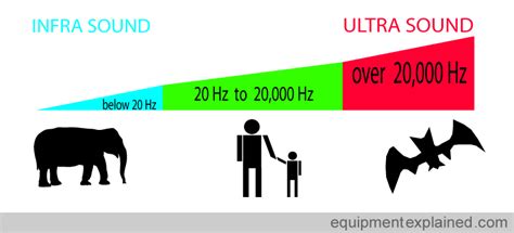 Infrasound Ultrasound Harmonic Waves