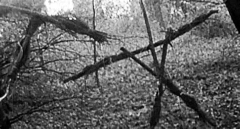 The Blair Witch Project | Screen Slate