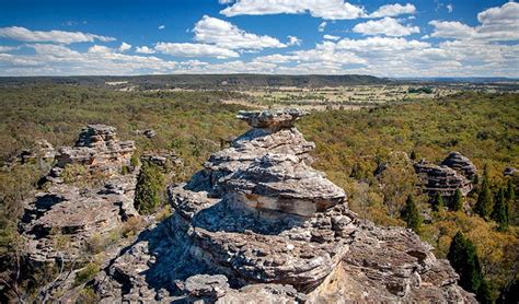 Munghorn Gap Nature Reserve | Learn more | NSW National Parks