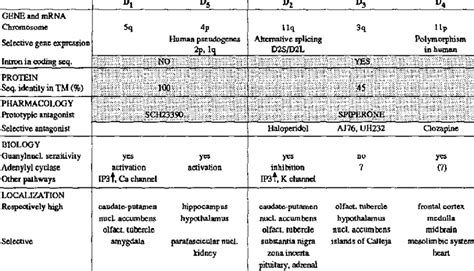 Particularities of the different dopamine receptor subtypes. | Download Table