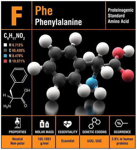 Phenylalanine Amino Acid Molecule Photograph by Carlos Clarivan/science Photo Library | Fine Art ...