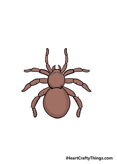 How To Draw Cartoon Spiders - Deepcontrol3