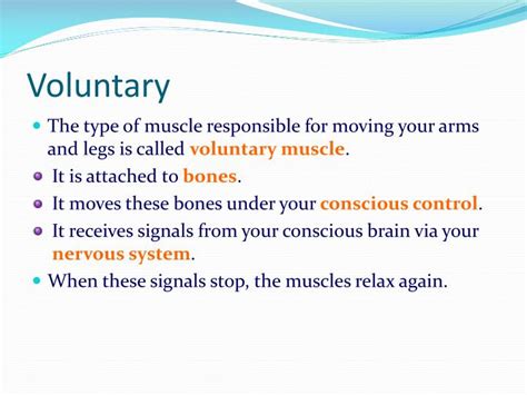 PPT - Muscles and Muscle Action PowerPoint Presentation - ID:1466190