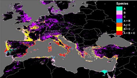 Map of co-occurrence for the Cryptococcus gattii species complex (A ...