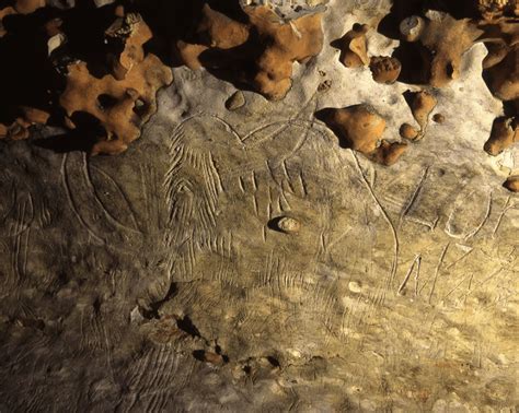 The Palaeolithic Art of Europe: Palaeoart in the Most Literal Sense - Darwin's Door