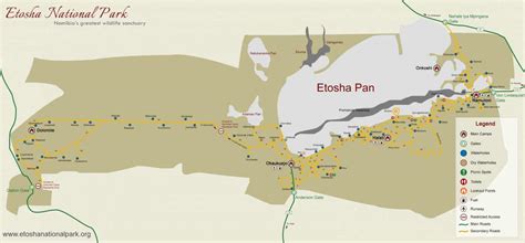 The Amazing Etosha National Park In Namibia • Ultimate Safari Guide