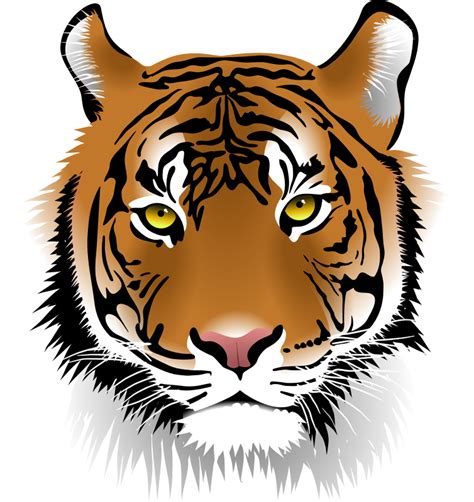 Tiger clip arts images free download black and white background - Clipartix