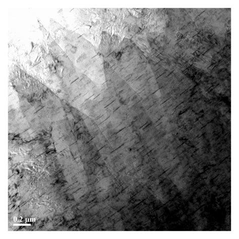 The tensile strength of samples containing different main participate... | Download Scientific ...