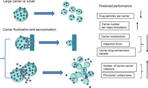 Concurrent changes of powder fluidization and aerosolization as a ...