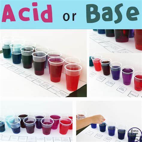 Acid or Base Experiment - Simple Living. Creative Learning