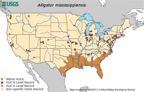 American Alligator range & collection sites (doesn't seem to include those found frozen in local ...