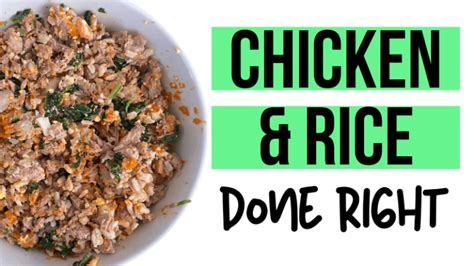 Balanced Chicken and Rice Dog Food Recipe - nikki - pet nutrition