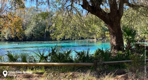 Snorkeling in Silver Glen Springs, Ocala National Forest | Snorkeling ...