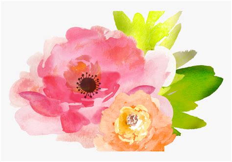 Transparent Flowers Clipart Png - Transparent Background Flower Clipart Watercolor, Png Download ...