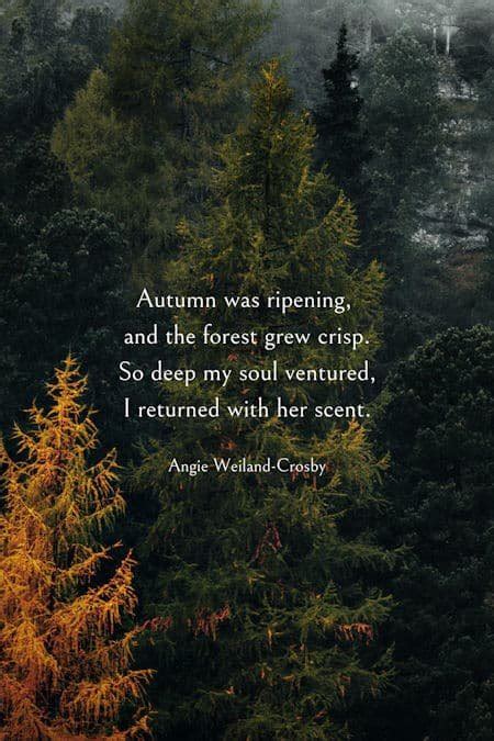 50+ Best Autumn Quotes, Fall Captions & Sayings to Enchant the Soul